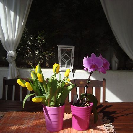 Apartment Villa Holiday II Pula Extérieur photo