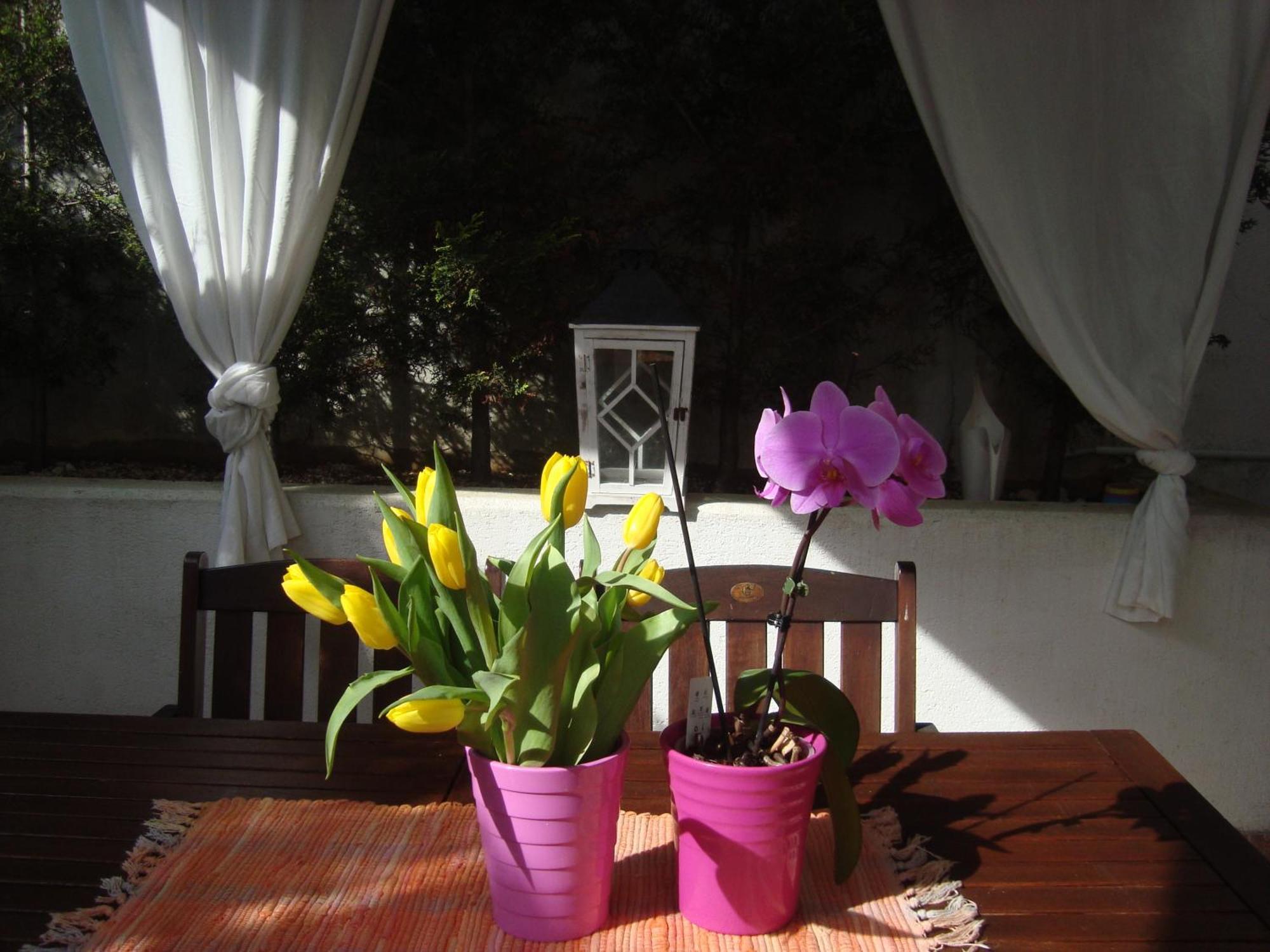 Apartment Villa Holiday II Pula Extérieur photo